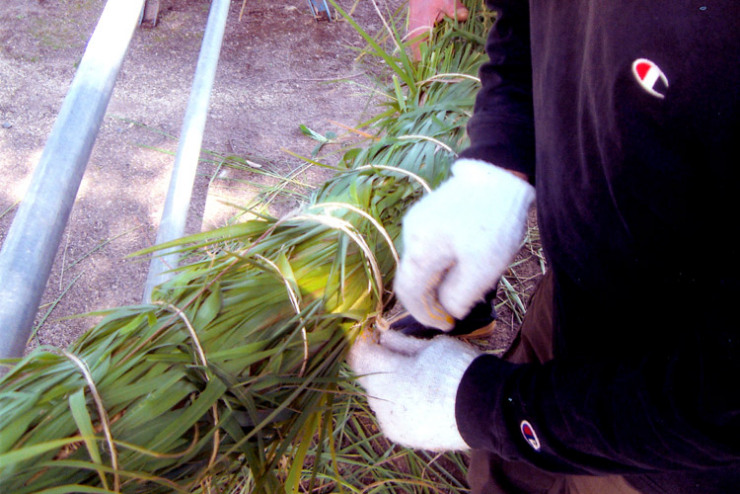竹に茅を巻きつけ縄でしめる作業